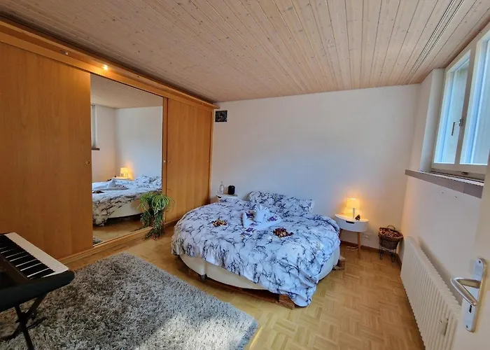 The Artistic Corner By The Rhine Wakable To Major Basel Events Like Art Basel Esc And More